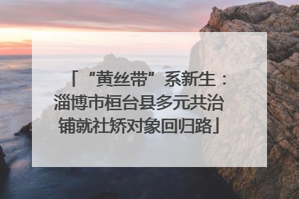 “黄丝带”系新生：淄博市桓台县多元共治铺就社矫对象回归路
