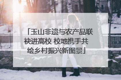 玉山非遗与农产品联袂进高校 校地携手共绘乡村振兴新图景