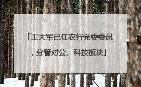 王大军已任农行党委委员，分管对公、科技板块
