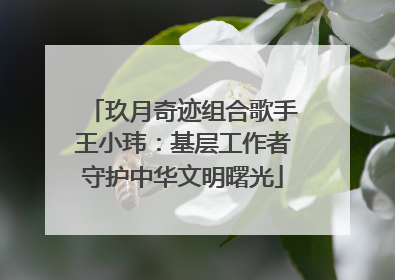 玖月奇迹组合歌手王小玮：基层工作者守护中华文明曙光