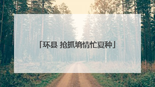 环县 抢抓墒情忙夏种
