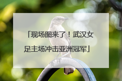 现场图来了！武汉女足主场冲击亚洲冠军