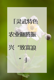 灵武特色农业翻腾振兴“致富浪”