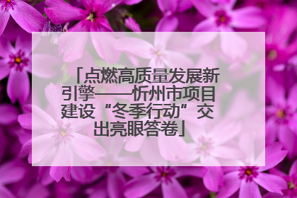 点燃高质量发展新引擎——忻州市项目建设“冬季行动”交出亮眼答卷