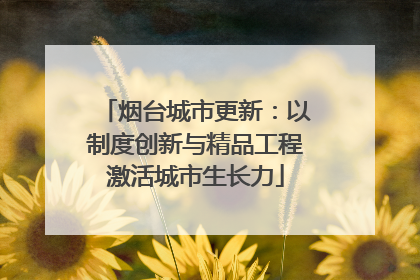 烟台城市更新：以制度创新与精品工程激活城市生长力