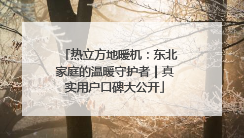 热立方地暖机：东北家庭的温暖守护者｜真实用户口碑大公开
