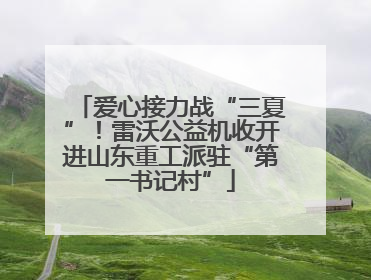 爱心接力战“三夏”！雷沃公益机收开进山东重工派驻“第一书记村”