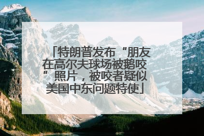 特朗普发布“朋友在高尔夫球场被鹅咬”照片，被咬者疑似美国中东问题特使