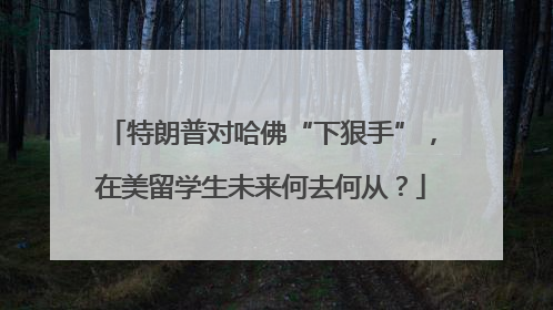 特朗普对哈佛“下狠手”，在美留学生未来何去何从？