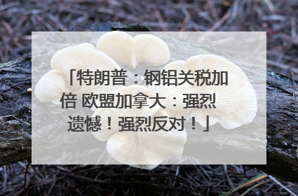 特朗普：钢铝关税加倍 欧盟加拿大：强烈遗憾！强烈反对！
