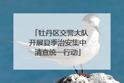 牡丹区交警大队开展夏季治安集中清查统一行动
