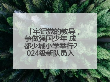 牢记党的教导，争做强国少年 成都少城小学举行2024级新队员入队仪式