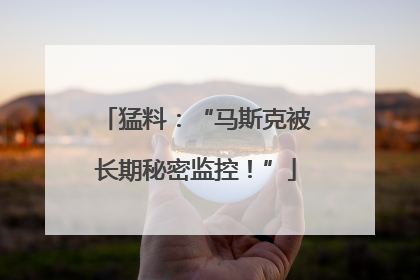 猛料：“马斯克被长期秘密监控！”