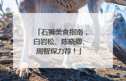 石狮美食指南，白岩松、陈晓卿、周智琛力荐！