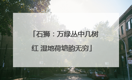 石狮：万绿丛中几树红 湿地荷塘韵无穷