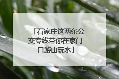 石家庄这两条公交专线带你在家门口游山玩水
