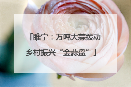 睢宁：万吨大蒜拨动乡村振兴“金蒜盘”