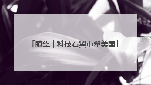 瞭望｜科技右翼重塑美国
