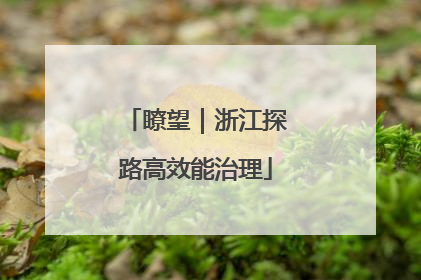 瞭望｜浙江探路高效能治理