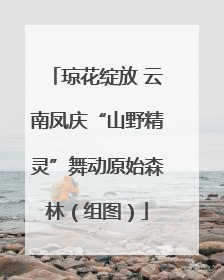 琼花绽放 云南凤庆“山野精灵”舞动原始森林（组图）