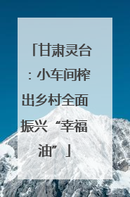甘肃灵台：小车间榨出乡村全面振兴“幸福油”