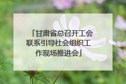 甘肃省总召开工会联系引导社会组织工作现场推进会