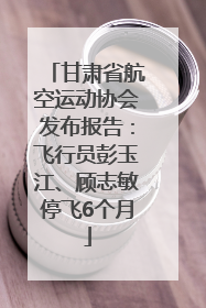 甘肃省航空运动协会发布报告：飞行员彭玉江、顾志敏停飞6个月