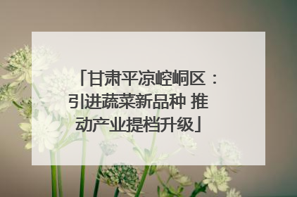 甘肃平凉崆峒区：引进蔬菜新品种 推动产业提档升级