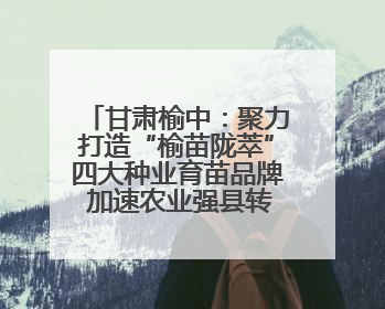 甘肃榆中：聚力打造“榆苗陇萃”四大种业育苗品牌 加速农业强县转型步伐