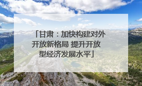 甘肃：加快构建对外开放新格局 提升开放型经济发展水平