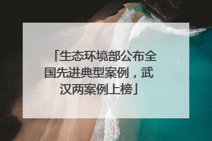 生态环境部公布全国先进典型案例，武汉两案例上榜