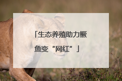 生态养殖助力鳜鱼变“网红”