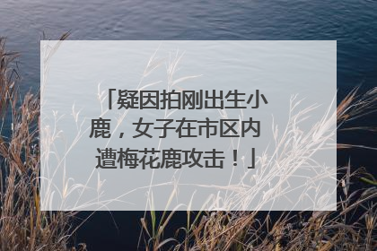 疑因拍刚出生小鹿，女子在市区内遭梅花鹿攻击！