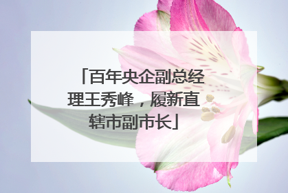 百年央企副总经理王秀峰，履新直辖市副市长
