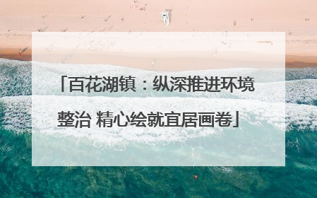 百花湖镇：纵深推进环境整治 精心绘就宜居画卷