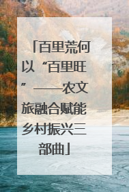 百里荒何以“百里旺”——农文旅融合赋能乡村振兴三部曲