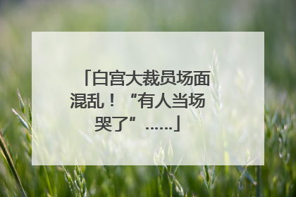 白宫大裁员场面混乱！“有人当场哭了”……