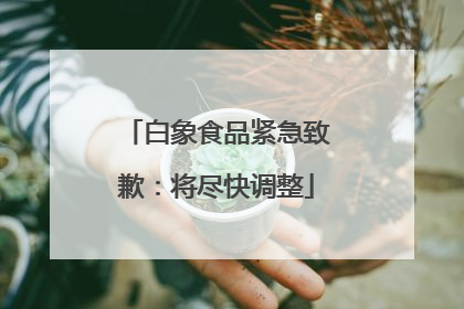 白象食品紧急致歉：将尽快调整