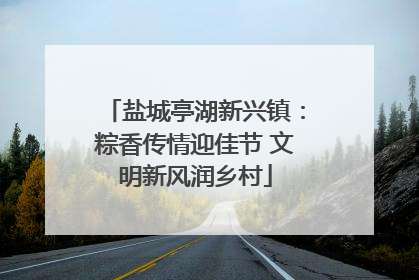 盐城亭湖新兴镇：粽香传情迎佳节 文明新风润乡村