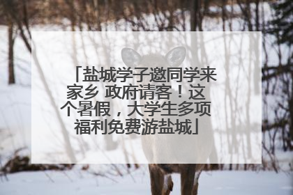 盐城学子邀同学来家乡 政府请客！这个暑假，大学生多项福利免费游盐城