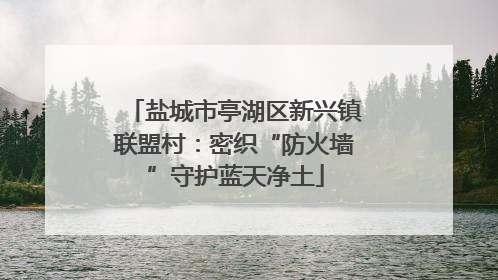 盐城市亭湖区新兴镇联盟村：密织“防火墙”守护蓝天净土