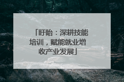 盱眙：深耕技能培训，赋能就业增收产业发展