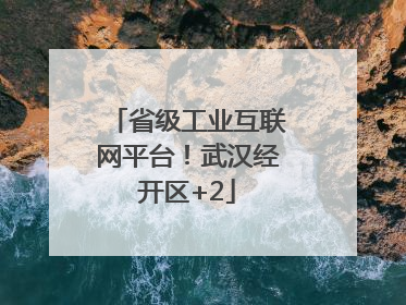 省级工业互联网平台！武汉经开区+2