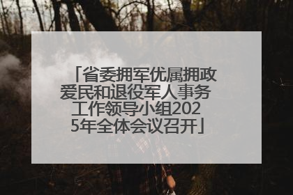 省委拥军优属拥政爱民和退役军人事务工作领导小组2025年全体会议召开