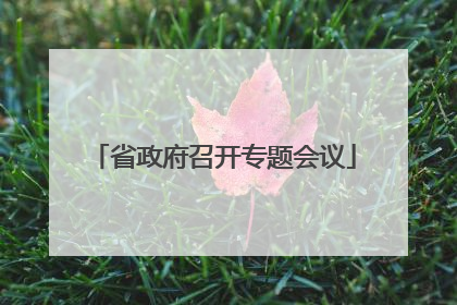 省政府召开专题会议