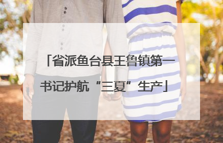 省派鱼台县王鲁镇第一书记护航“三夏”生产
