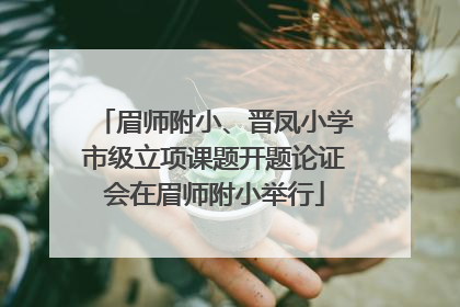 眉师附小、晋凤小学市级立项课题开题论证会在眉师附小举行