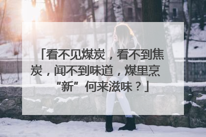 看不见煤炭，看不到焦炭，闻不到味道，煤里烹“新”何来滋味？