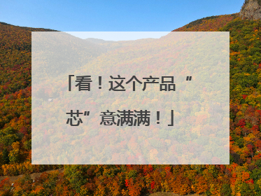看！这个产品“芯”意满满！