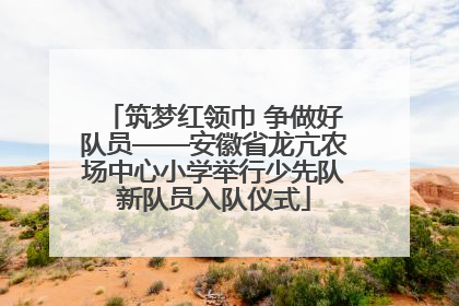 筑梦红领巾 争做好队员——安徽省龙亢农场中心小学举行少先队新队员入队仪式